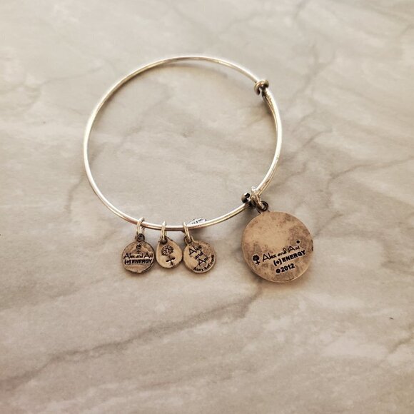 🍎 Alex and Ani Silver Apple Expandable Bangle Charm Bracelet Teacher 🍎 - Picture 3 of 4